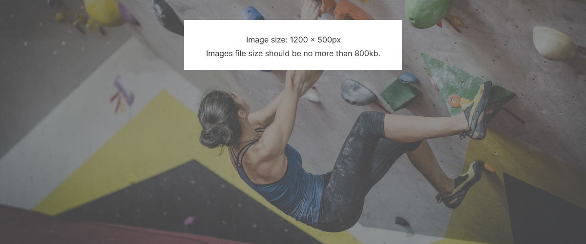 give it a name Sydney Indoor Climbing Gym Sydney Indoor Climbing Gym